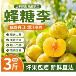 爆料鲜丰 贵州镇宁蜂糖李 新鲜脆甜 5斤
