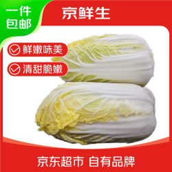 京鲜生 山东新鲜大娃娃菜 300g*16 净重5斤