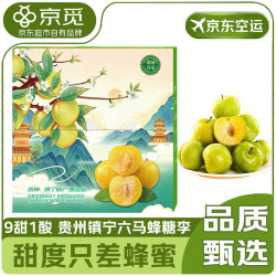 京觅 贵州六马镇 宁蜂糖李脱骨李 38g*30枚 大果 脆甜李子