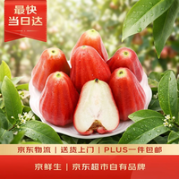 京鲜生 黑金刚 莲雾  中果(70g起) 1斤装 1.5kg
