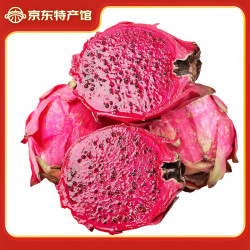 静益乐源 金都红心火龙果  5斤大果单果300-400g
