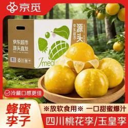 京觅 四川桃花李 净重5斤 单果60-80g 黄金李新鲜水果源头直发包邮