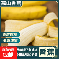 京喜加 高山大香蕉 9斤装 新鲜青皮青蕉