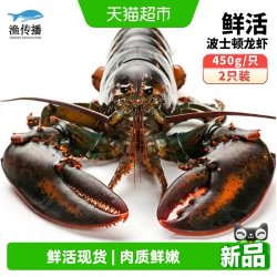渔传播 鲜活 波士顿龙虾