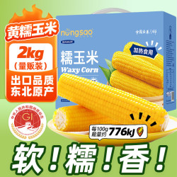 东北农嫂 黄糯玉米 2kg约8穗 礼盒装