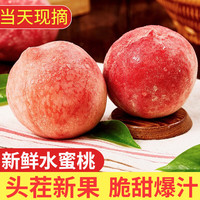 京愿 新鲜水蜜桃 毛桃 脆甜桃子 红不软 当季新鲜水果生鲜 实惠9斤(净重8.5斤)