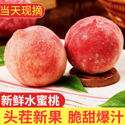 京愿 新鲜水蜜桃 毛桃 脆甜桃子 红不软  当季新鲜水果生鲜 实惠9斤（净重8.5斤）