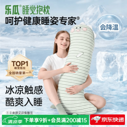 乐瓜 凉感可拆洗 加大恐龙-冰凉款 长条抱枕