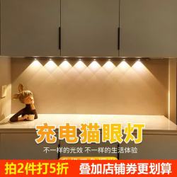 以典 薄智能人体感应led灯充电式长条波纹灯猫眼感应灯山 80cm 人体感应款