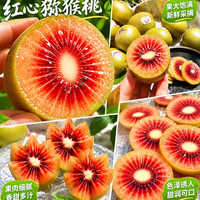 春福乐 四川红心猕猴桃 单果50-60g 24个装