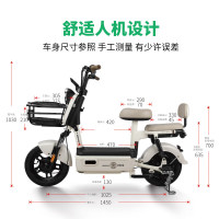 驰小虎 长续航 电动自行车 48V20Ah电池