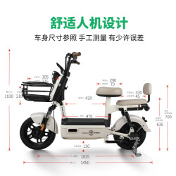 驰小虎 长续航 电动自行车 48V20Ah电池