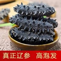 小盯看看 探参季 大连海参 10只装 44.6g/100g 蛋白质