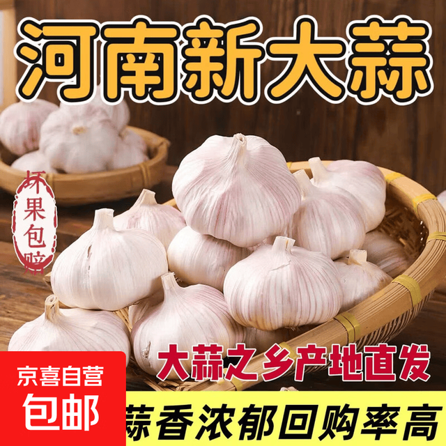河南 超市专供 新鲜大蒜精品干蒜大蒜头蔬菜调料产地直发 4.5cm-5cm  1斤装（净重0.9斤）