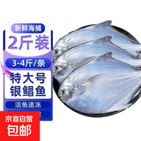 京喜自营-专用品牌 海捕 国产新鲜银鲳鱼 2斤装 3-4条/斤 冷冻 烧烤低脂食材