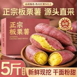 春福乐 国产板栗红薯 4斤