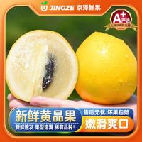 沐瑾 冬蜜黄晶果牛奶果 优选丨3斤-顺丰-含箱