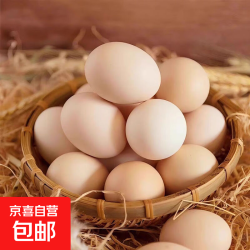 农家 国产 笨鸡蛋 40g*4枚