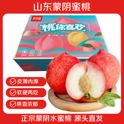 京农超 山东蒙阴黄桃水蜜桃子油桃当季新鲜水果蟠桃毛桃生鲜端午节送礼 水蜜桃 精选净重4.5斤装 单果150g+