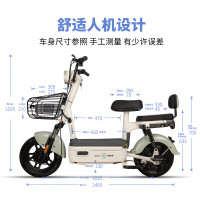 今日必买：驰小虎 长续航 电动自行车 铅酸电池 吉祥虎-40KM-白色
