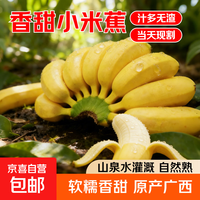 京喜加 苹果蕉 2斤净重1.7-1.8斤