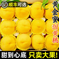 采缇 新鲜山东蒙阴黄桃 二斤黄桃 中果100g/单果