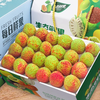 时茂 海南妃子笑荔枝 单果20-22g+ 3.5斤
