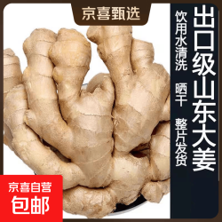 山东 潍坊大片老姜 3斤