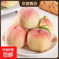 京喜加 正宗无锡阳山水蜜桃新鲜水果整箱礼盒装现摘现发6.8日开始发货 6-7两8粒 礼盒装（净重4.8斤+）