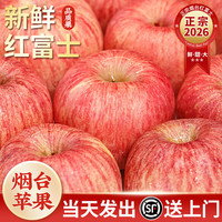 顾一 烟台红富士苹果新鲜当季生鲜整箱批发正宗山东特色烟台特产 5斤净重4.8斤90mm以上