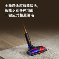 dyson 洗地吸尘器Piston AnimalDS60（磨砂黑）