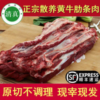牛家纪 新鲜黄牛肉 原切牛肋条肉 牛腩 牛腿肉 牛腱子肉 黄牛排骨肉多 关注店铺炖肉料包+优先发货 现宰原切黄牛腱子 5斤装