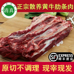 牛家纪 新鲜黄牛肉 原切牛肋条肉 牛腩 牛腿肉 牛腱子肉 黄牛排骨肉多 关注店铺炖肉料包+优先发货 现宰原切黄牛腱子 5斤装