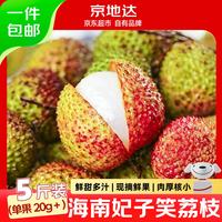 京地达 海南妃子笑荔枝 净重5斤装 单果20g 生鲜水果 源头直发京东包邮