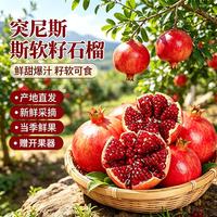 亨迅 突尼斯软籽石榴水果四川会理红宝石无籽甜石榴新鲜中秋节水果礼盒 爆卖5斤装 单果200g+(净重4.5斤)