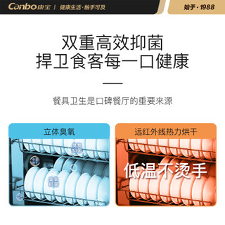康宝 XDZ250-CS1 250L双门立式 食具保洁柜