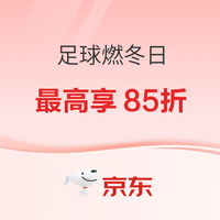 促销活动：京东足球品类燃动日 球衣最高享85折