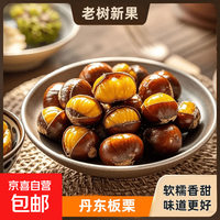 京喜加 丹东大板栗2025年新下树赠送栗爪可生吃新鲜蔬菜 果农直发丹东大板栗 6斤 净重5.7斤