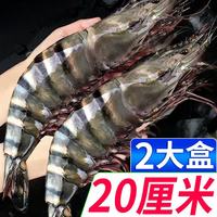 黑虎虾活冻超大虾类大虾生鲜老虎虾冰鲜对虾鲜海虾冷冻海鲜 新货3盒装 1350g(净重)