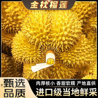 JDBMO 泰国进口新鲜金枕榴莲带壳巴掌整箱孕妇水果送礼首选 50年甄选品质好果型 甄选1个果