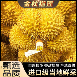 JDBMO 泰国进口新鲜金枕榴莲带壳巴掌整箱孕妇水果送礼首选 50年甄选品质好果型 甄选1个果