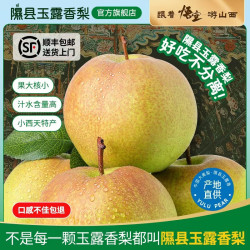 隰县玉露香梨 整箱香梨当季水果山西隰县小西天特产 水果 9粒中果（净重约4.5斤）75+mm