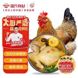 温氏 供港老母鸡 1.4kg