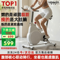 英尔健 家用智能磁控静音动感单车 基础版
