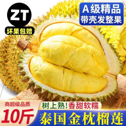采缇 泰国金枕榴莲 3-4斤 单果装