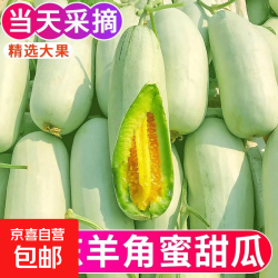 京东 山东羊角蜜甜瓜新鲜水果头茬当季现摘脆甜蜜瓜香瓜时令羊角脆包邮 羊角蜜瓜 带箱5斤 净重4.5斤