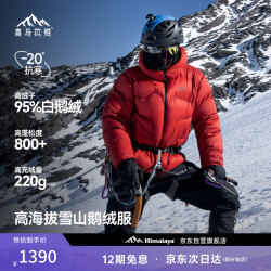 喜马拉雅 玉龙鹅绒服800蓬95绒-20°C雪山攀登专业户外抗寒防风高蓬羽绒服 藻灰绿 800蓬95鹅绒-20°C L 充绒量210g