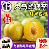 亲佳美 贵州六马蜂糖李 5斤