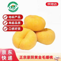 京地达 山东蒙阴黄毛蟠桃 4.5斤 145g/单果