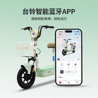 台铃 小布丁 新国标 电动自行车